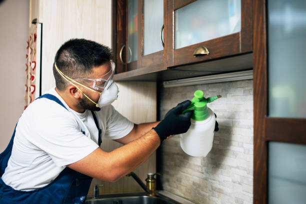 Trusted Boca Raton, FL Pest Control Experts