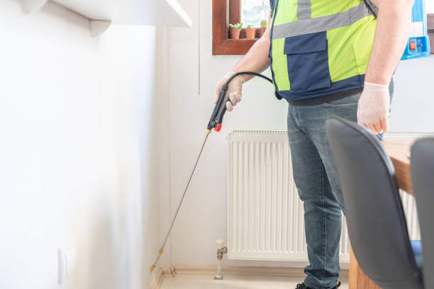 Flea Control Services in Boca Raton, FL