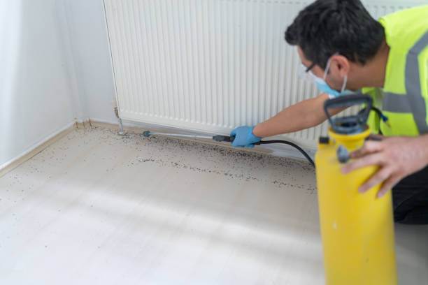 Best Flea Control Services  in Boca Raton, FL